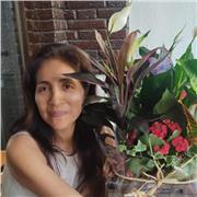 Profesora de Repaso de primaria acto para las clases de matemáticas